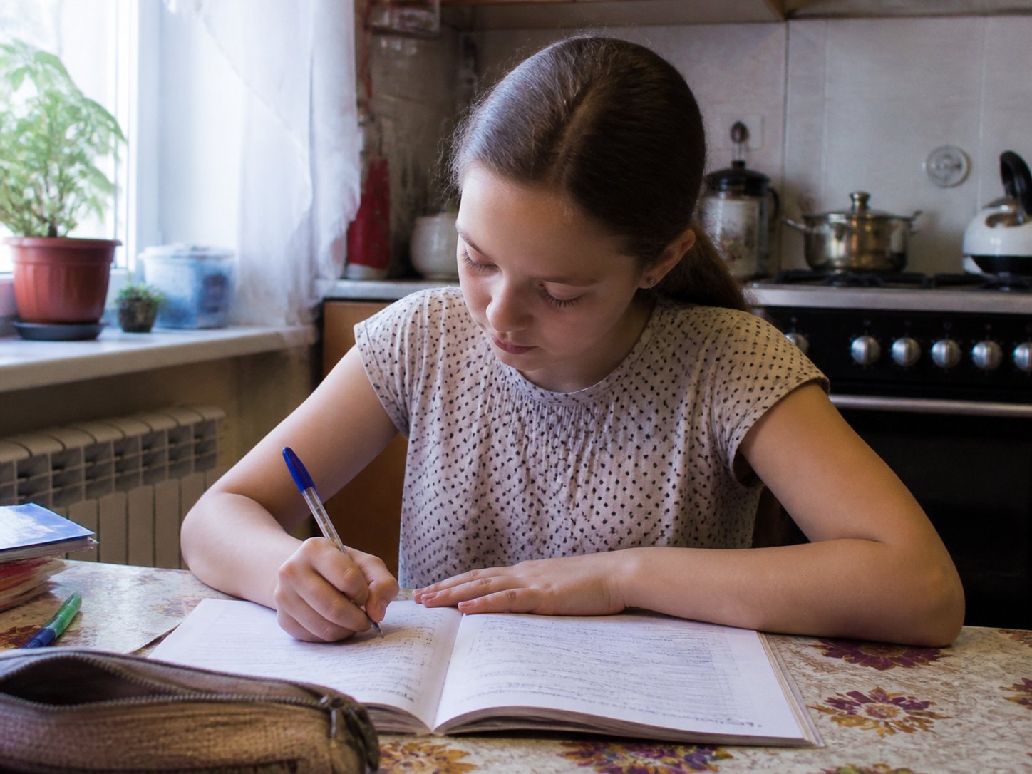 Ученик: 5 класс, Русский язык